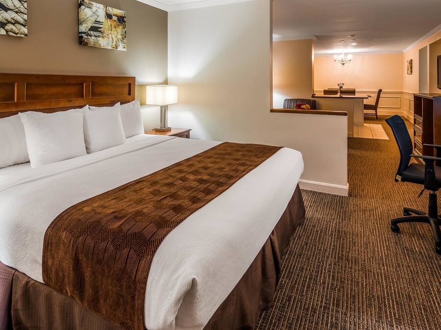 Suite, 1 Queen Bed, Non Smoking, Jetted Tub (with Sofabed) | Hypo-allergenic bedding available, in-room safe, desk, blackout drapes