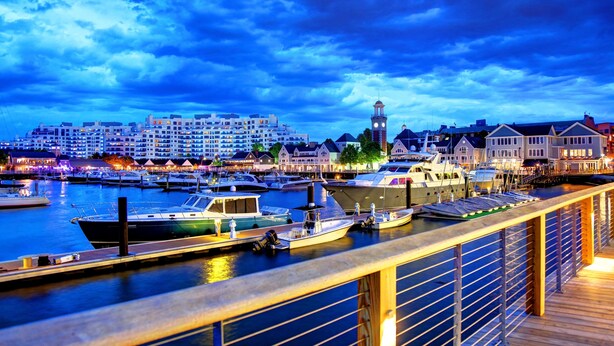 A marina with boats docked, a wooden walkway, and buildings in the background.
