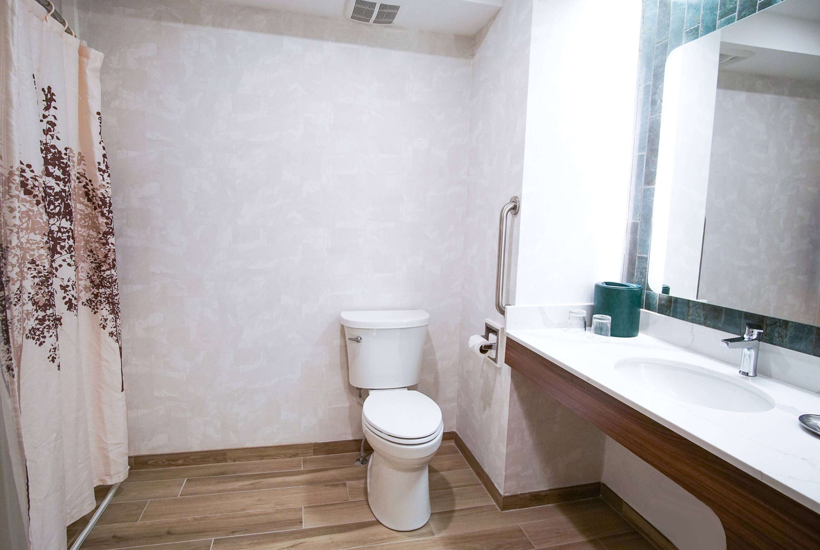 room, 1 king bed, accessible, non smoking (roll-in shower) | bathroom | shower, free toiletries, hair dryer, towels