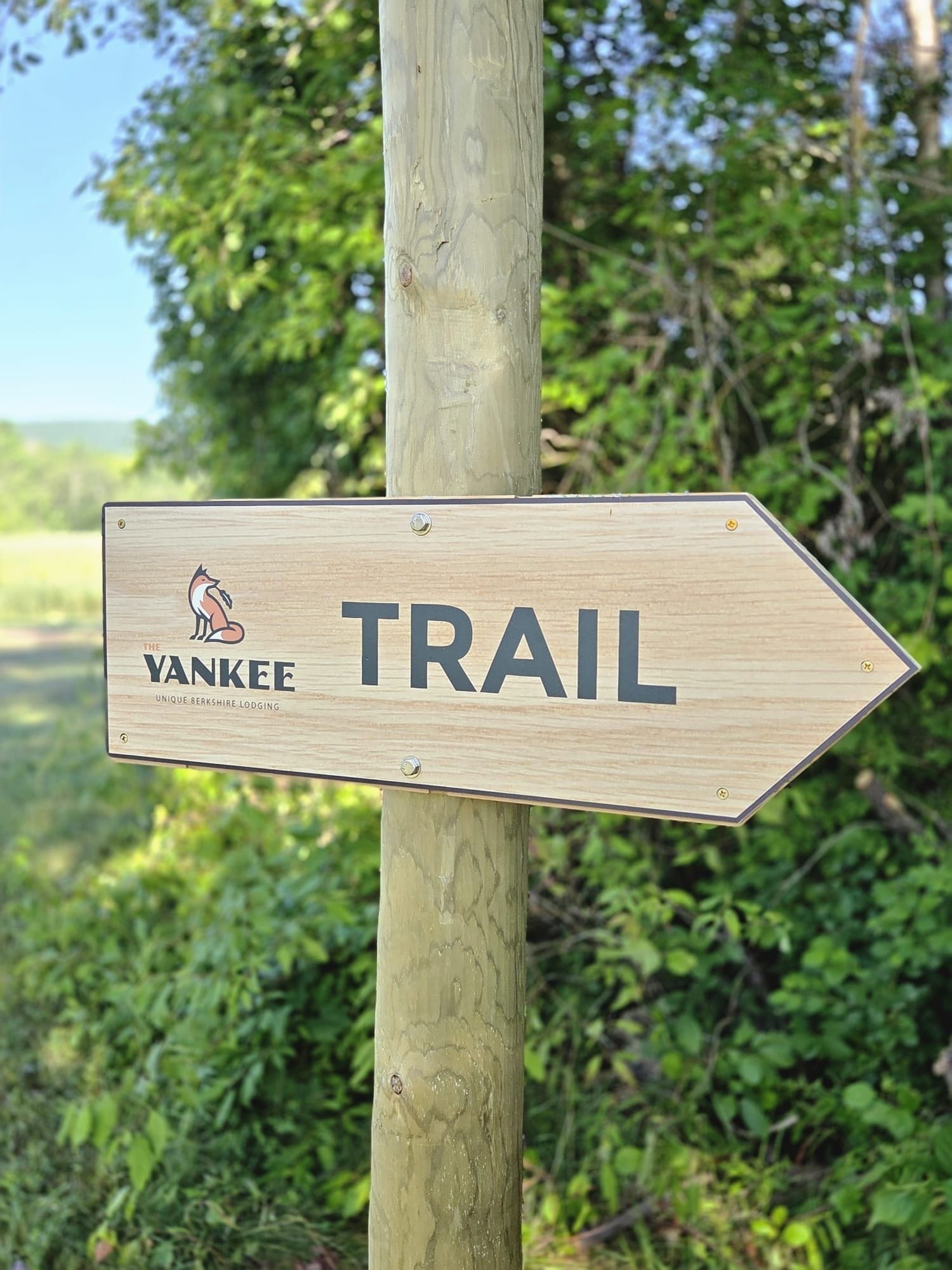 A wooden directional sign with the word 'TRAIL' and a fox logo, indicating a hiking trail.
