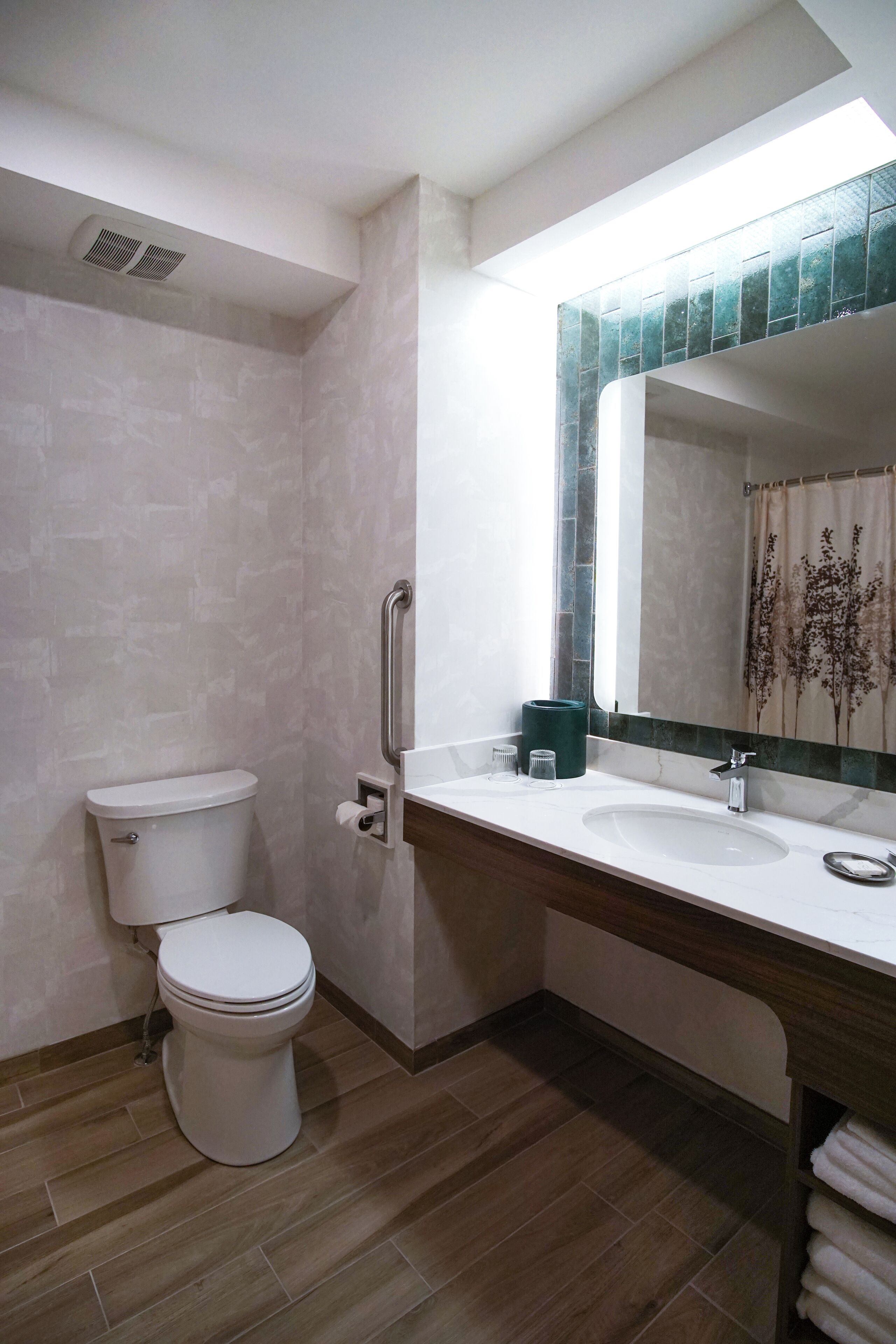 room, 1 king bed, accessible, non smoking (roll-in shower) | bathroom | shower, free toiletries, hair dryer, towels