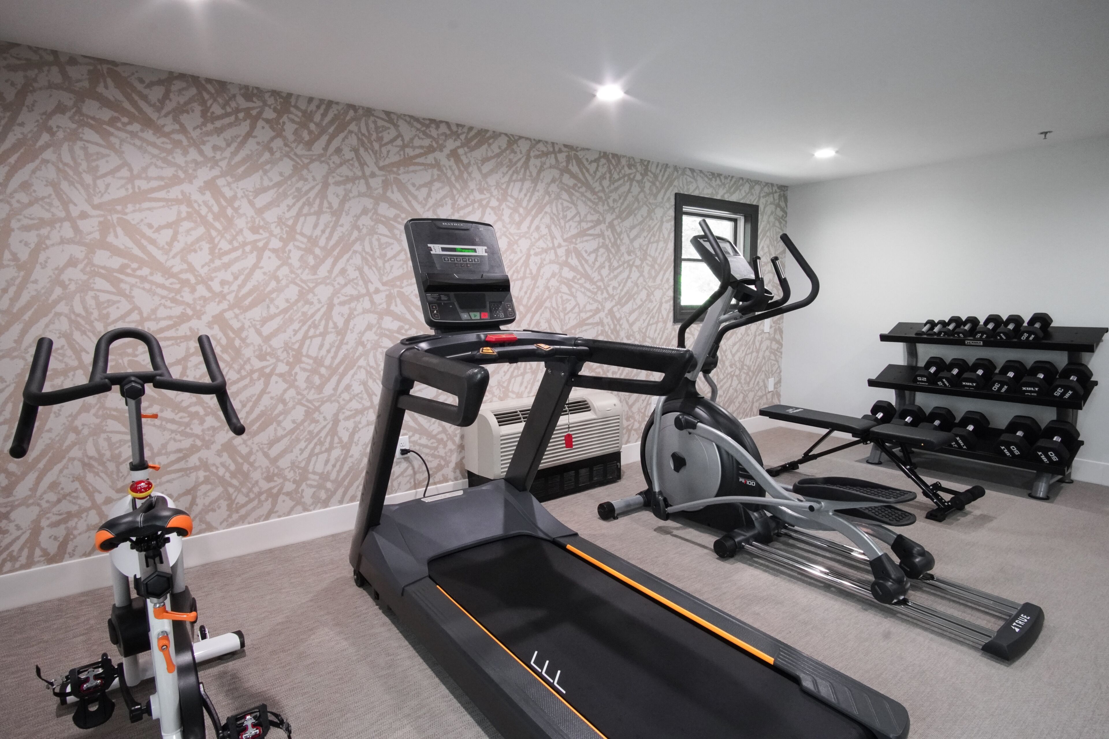 A home gym with a treadmill, elliptical, stationary bike, and a set of dumbbells.