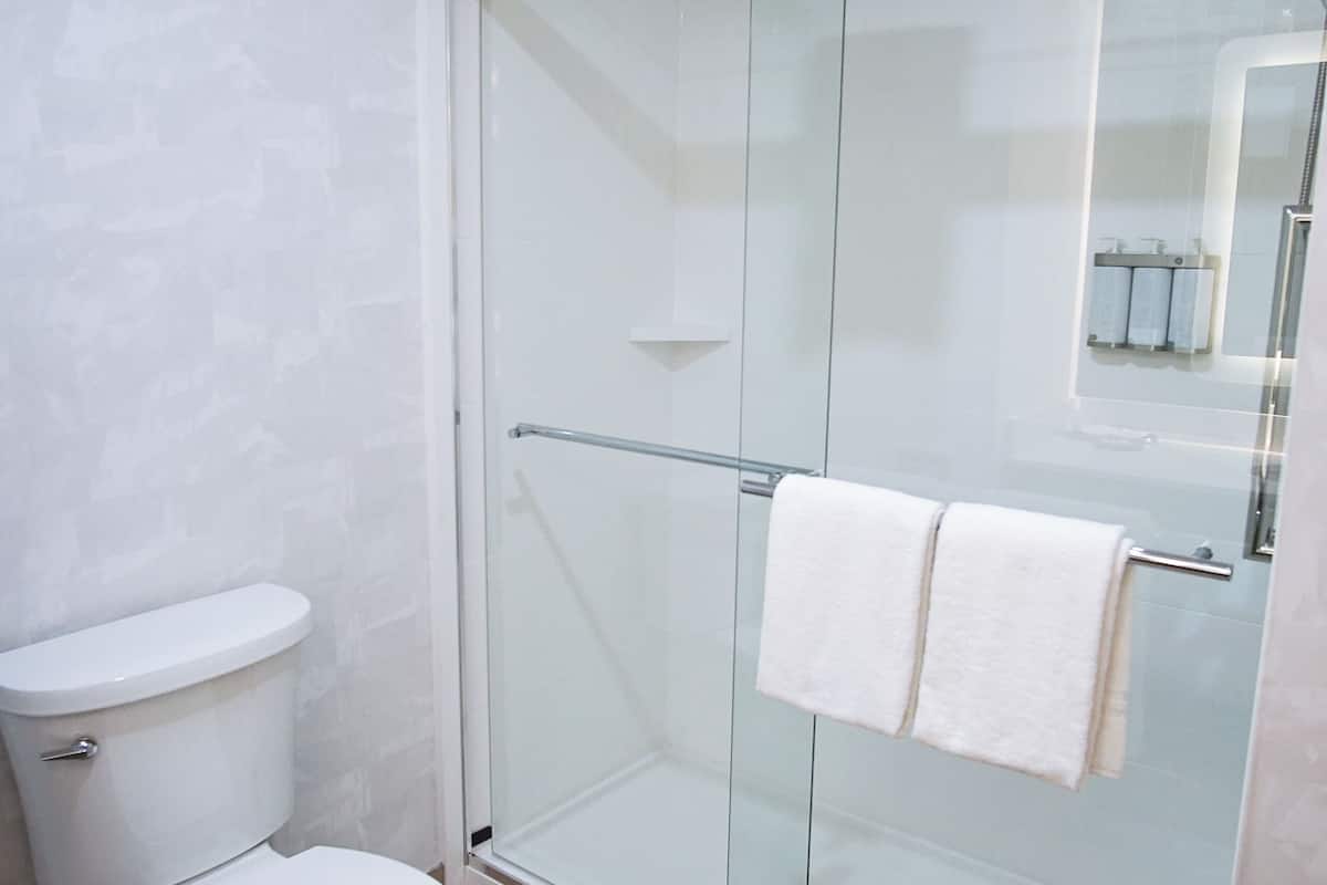 shower, free toiletries, hair dryer, towels