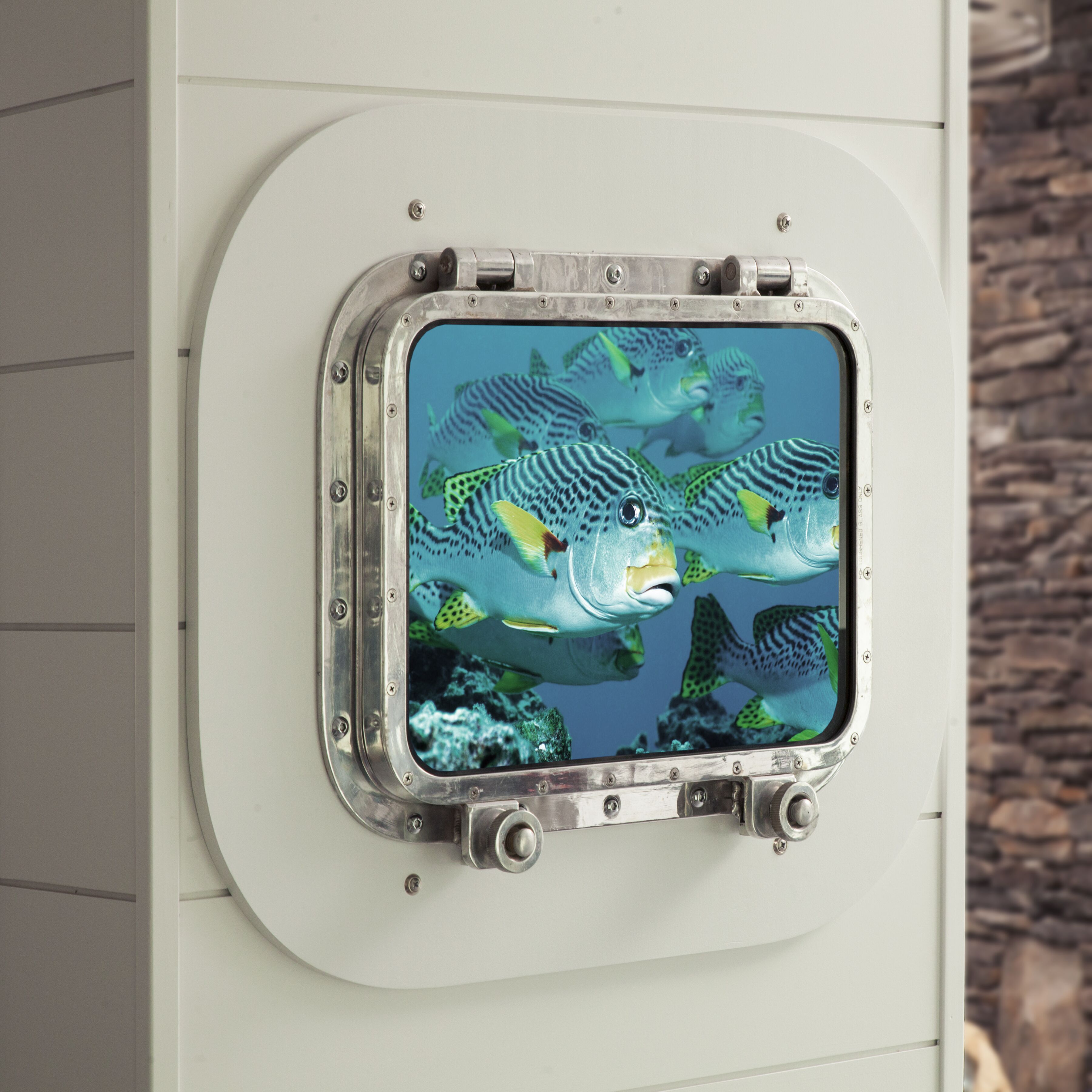 A window with a metal frame and a view of fish.