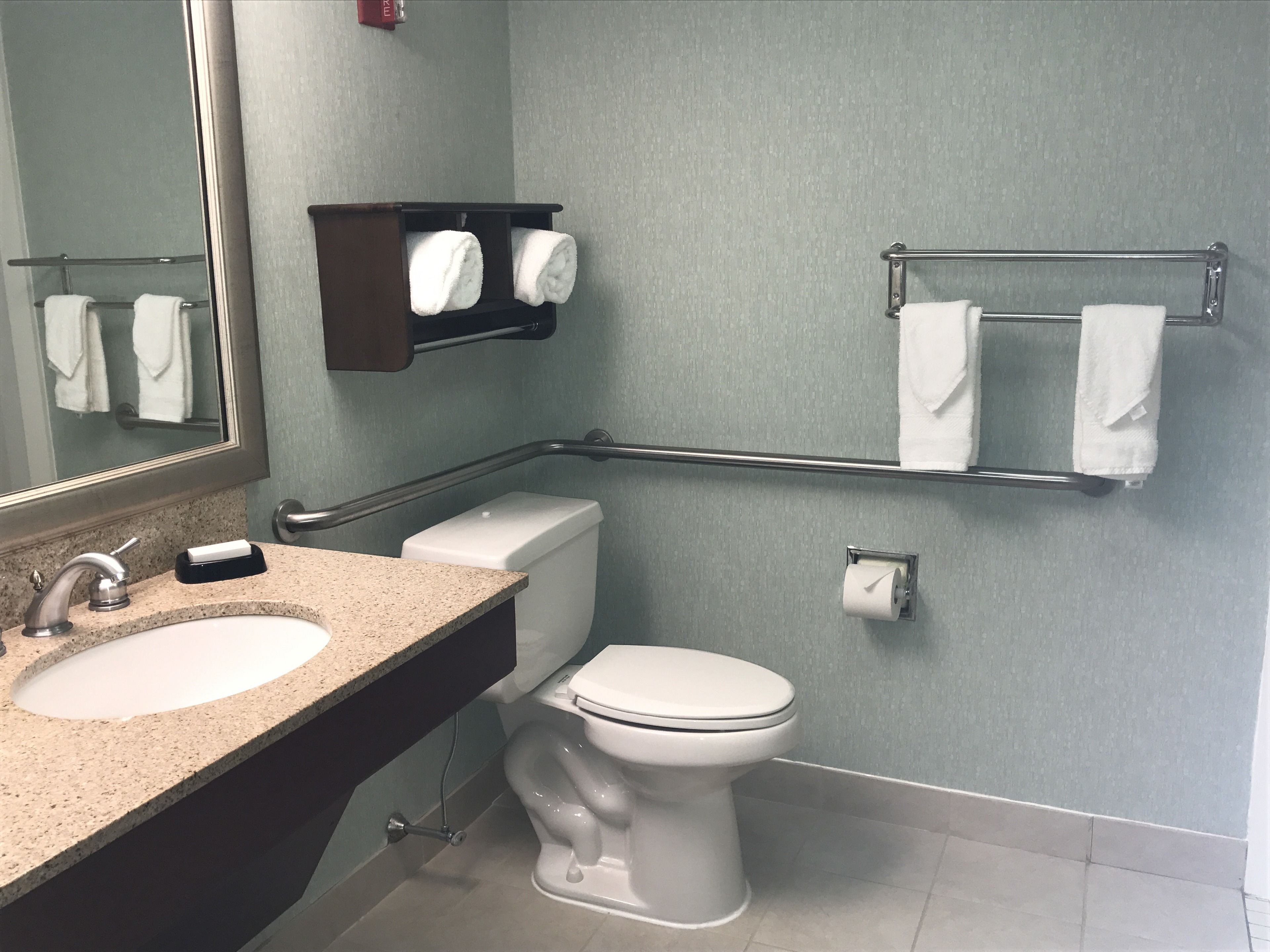 A bathroom with a sink, toilet, towel rack, and a mirror.