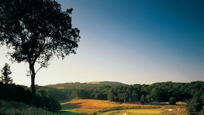 A golf course with a large tree on the left, rolling hills, and a clear sky. - The Goodwood Hotel (Chichester)