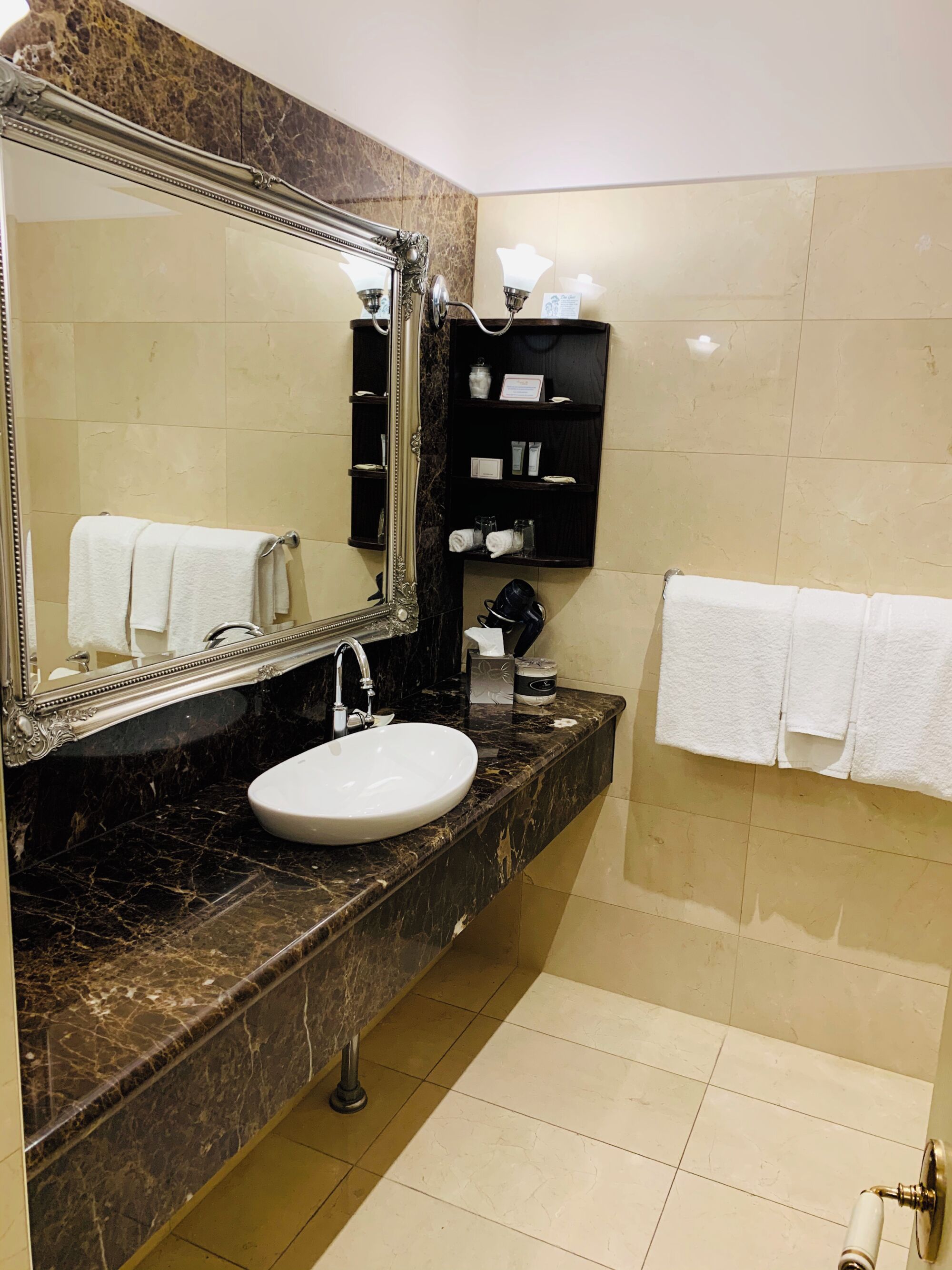 Deluxe Hotel Room | Bathroom | Free toiletries, hair dryer, towels
