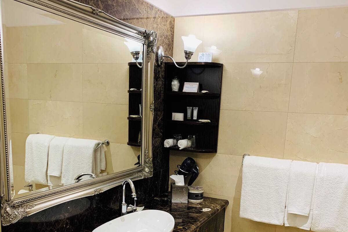 Deluxe Hotel Room | Bathroom | Free toiletries, hair dryer, towels