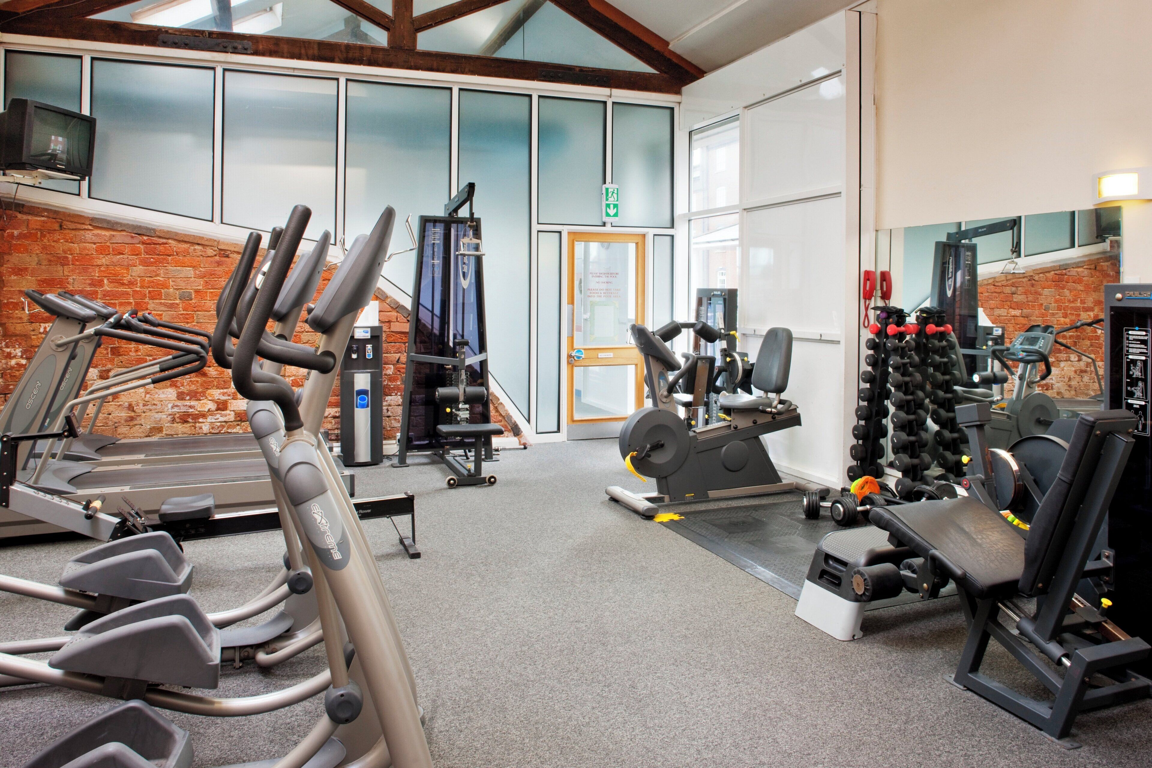 A gym with treadmills, weight machines, and free weights.