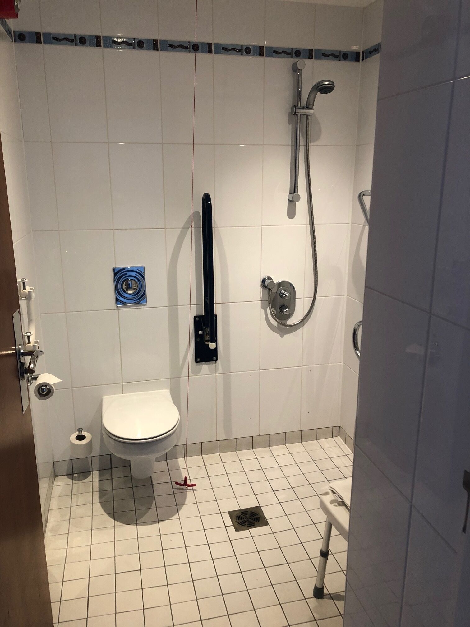 A bathroom with a toilet, a bidet, and a shower.