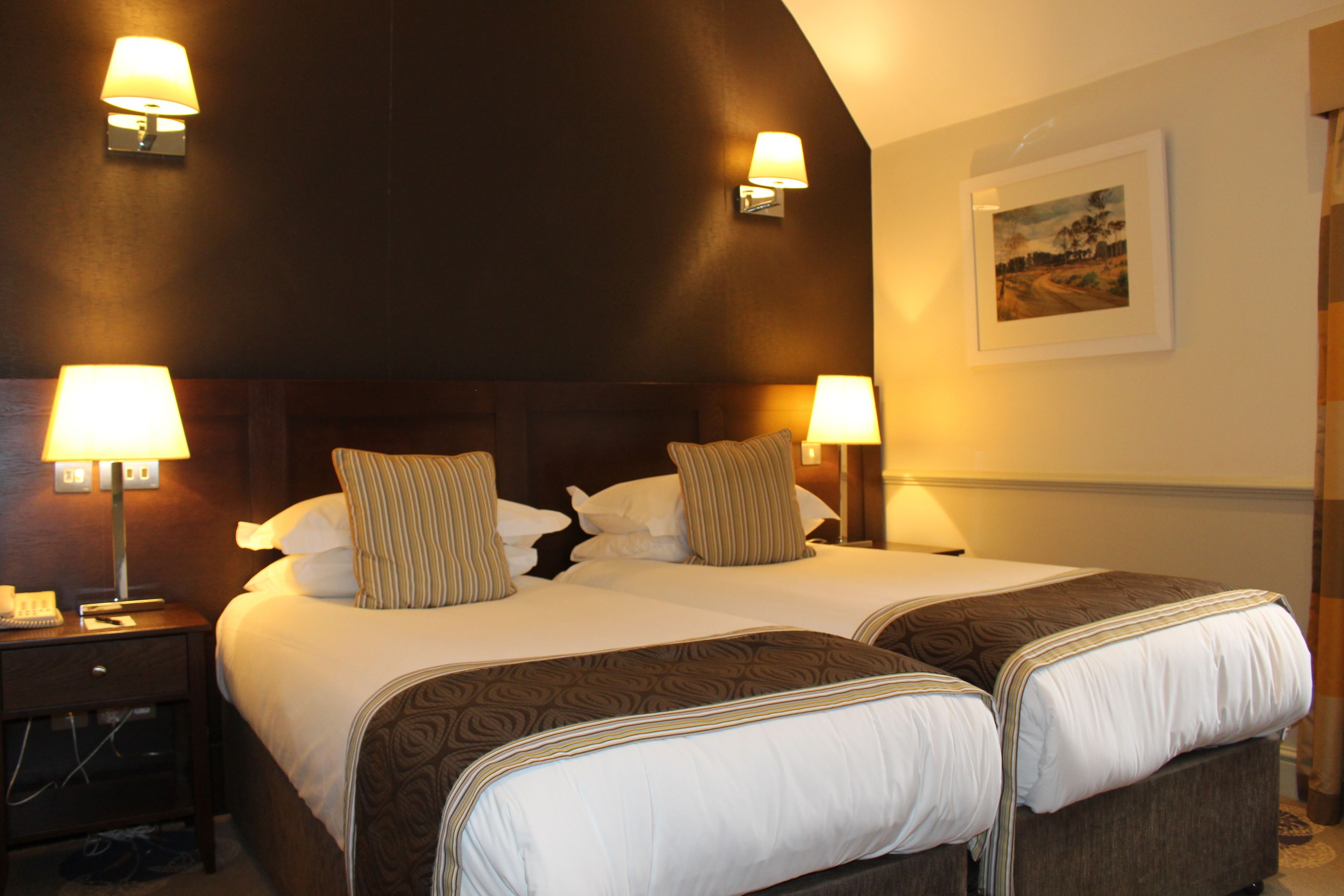 A double bed with two pillows, a nightstand with a lamp, and a wall-mounted picture.