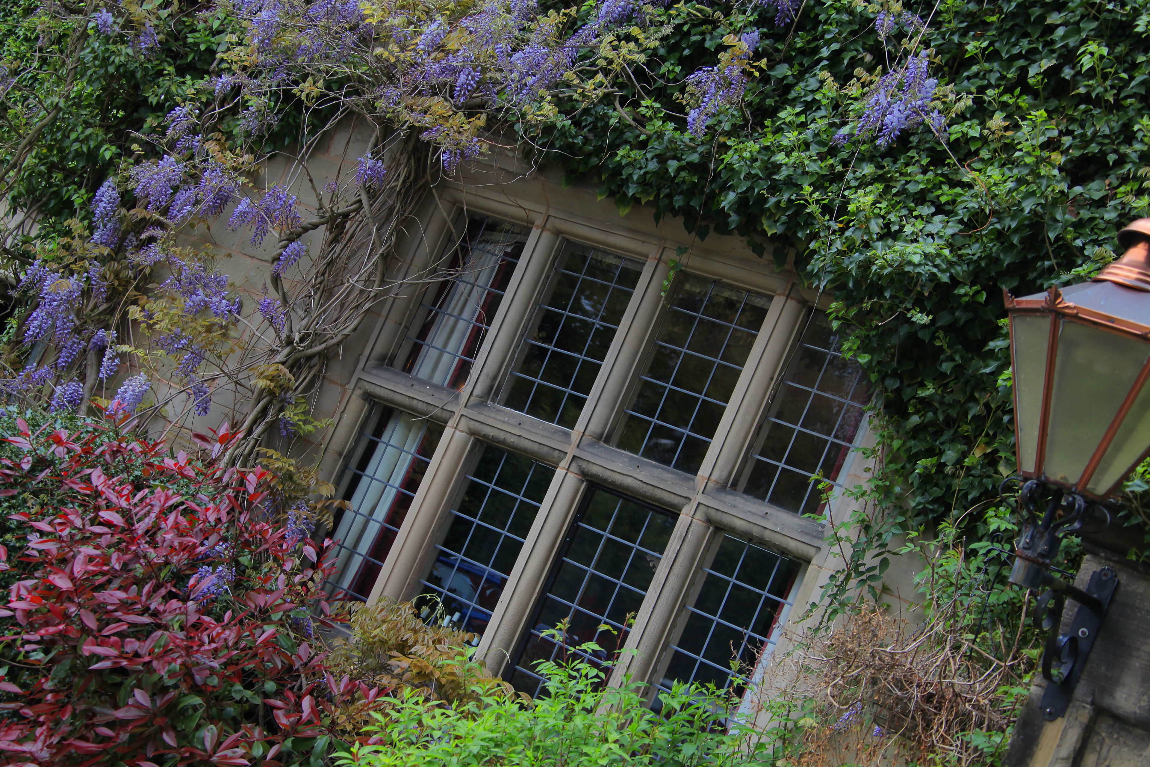 Fachada del alojamiento