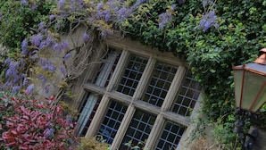 A building with a window surrounded by lush greenery and purple flowers. - Weston Hall Hotel, Sure Hotel Collection by Best Western (Bedworth)