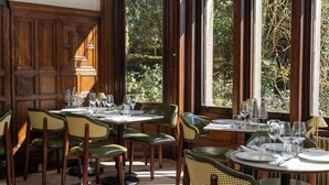 Un comedor con paredes de madera, ventanas amplias con vista a árboles y sillas tapizadas en verde.