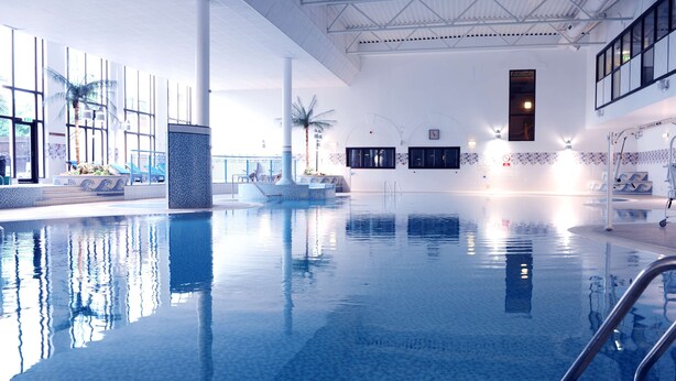 Une piscine intérieure à l’eau claire, dotée de chaises longues, de palmiers et d’un mur carrelé.