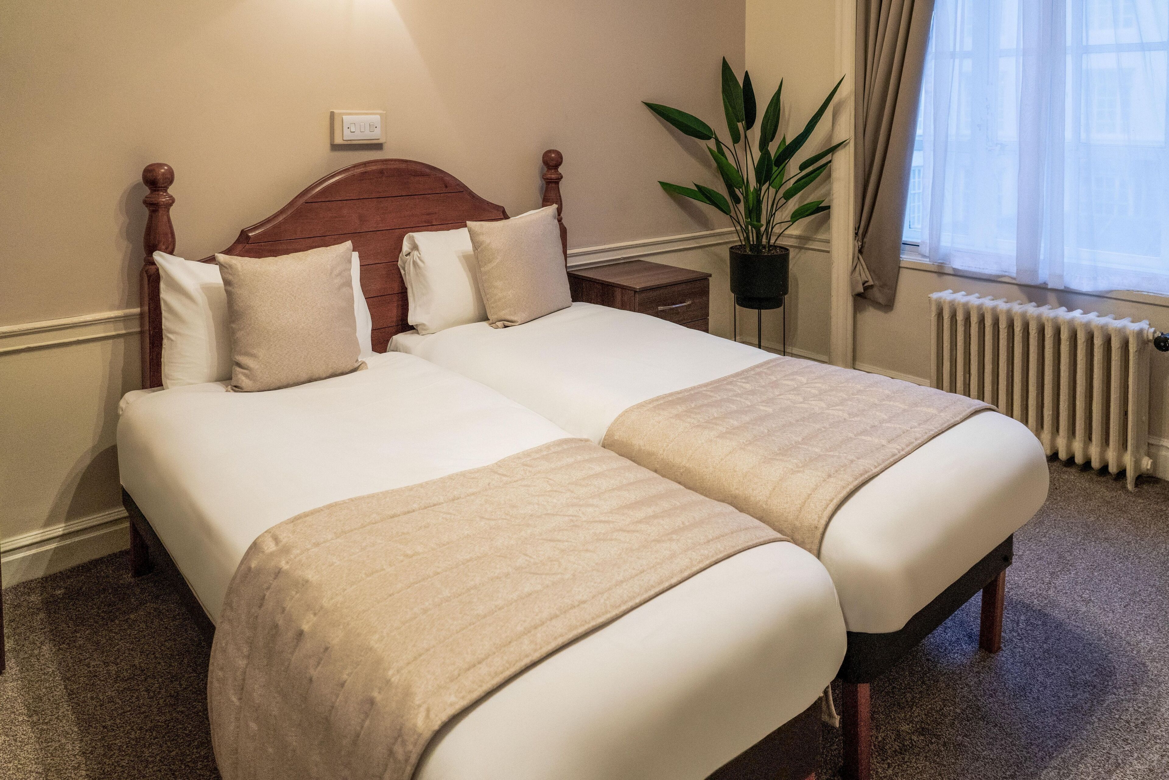 A double bed with a wooden headboard, two pillows, a bedside table, and a potted plant.