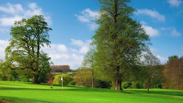 Enjoy a round of golf on our well-maintained course surrounded by mature trees.