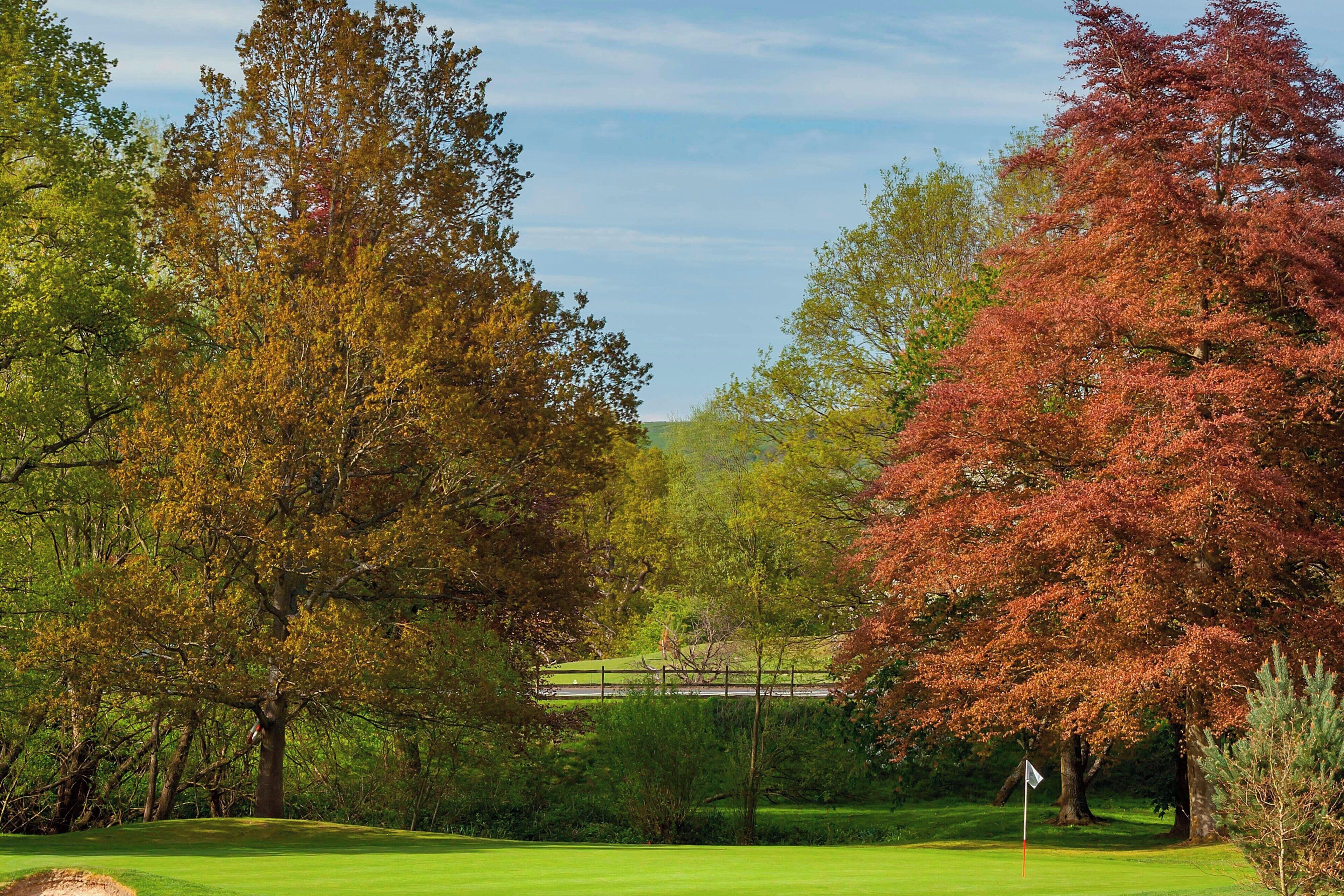 A golf course with a flagstick, surrounded by trees with autumn foliage.