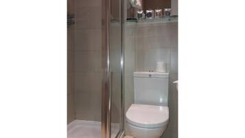 A bathroom with a glass shower enclosure, a white toilet, and a shelf with toiletries.