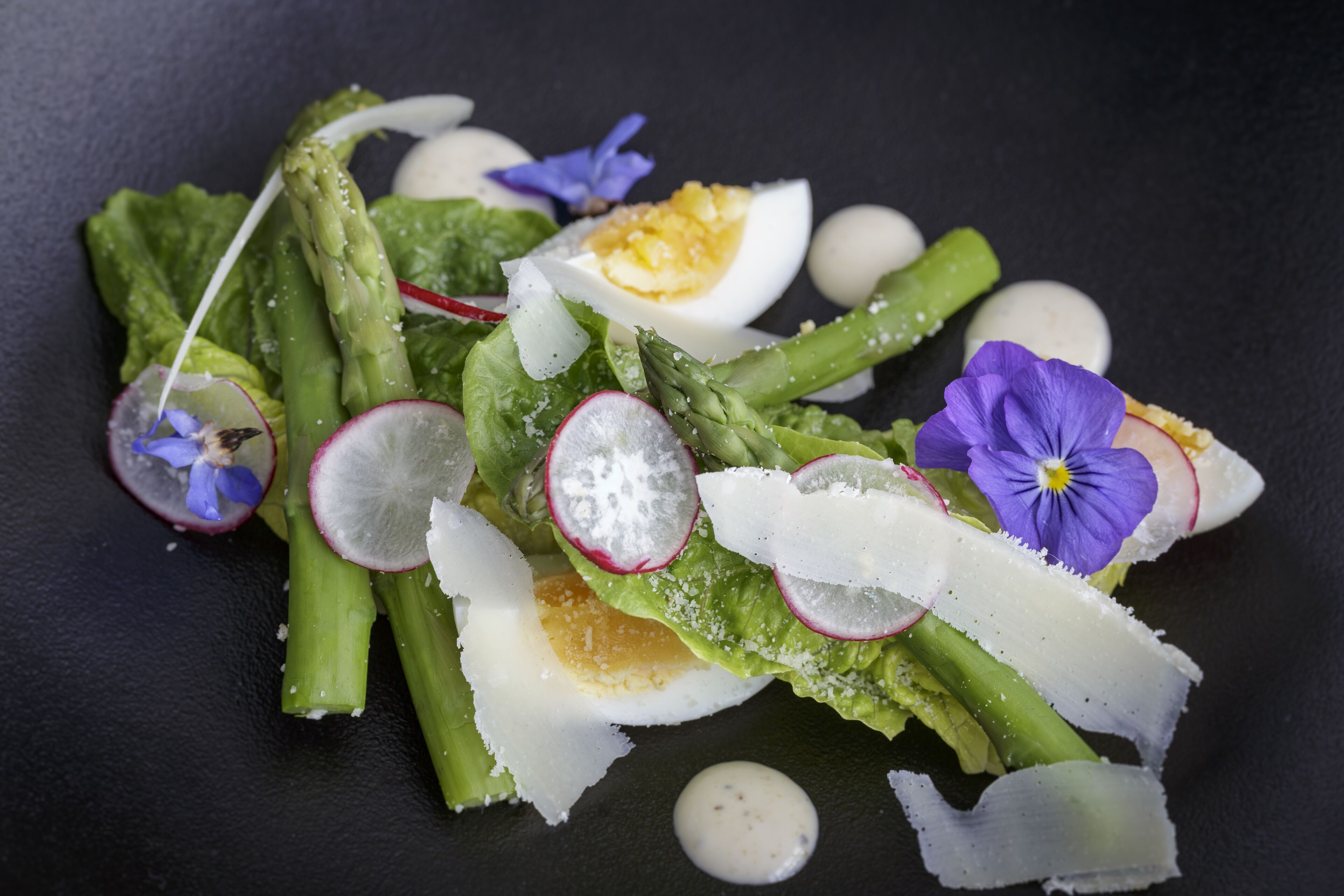 international cuisine