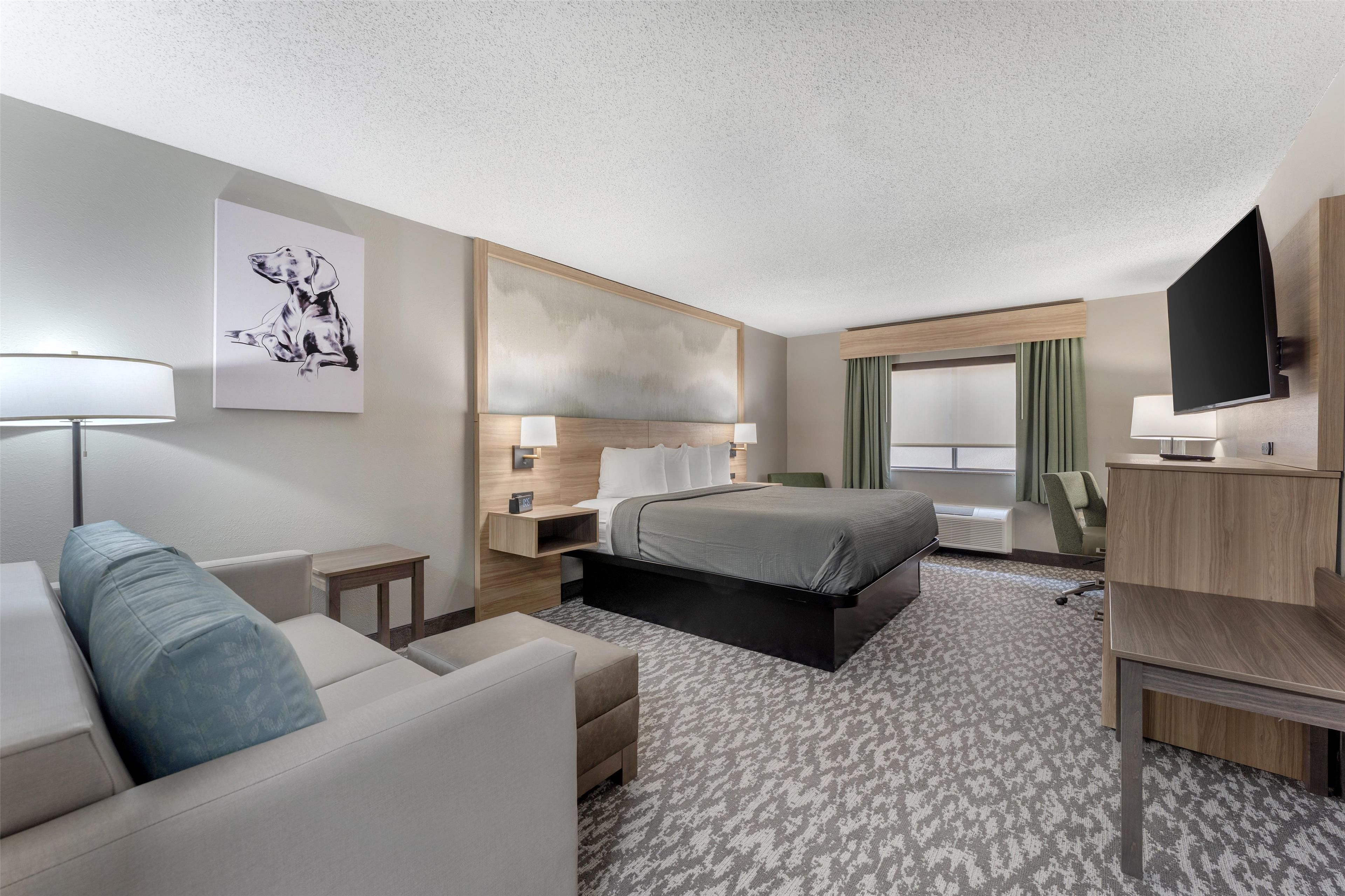 A hotel room with a bed, a desk, a TV, a lamp, and a painting of a dog.
