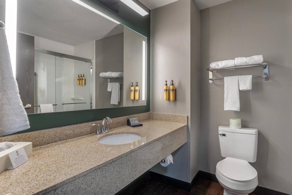 deep-soaking bathtub, free toiletries, hair dryer, towels