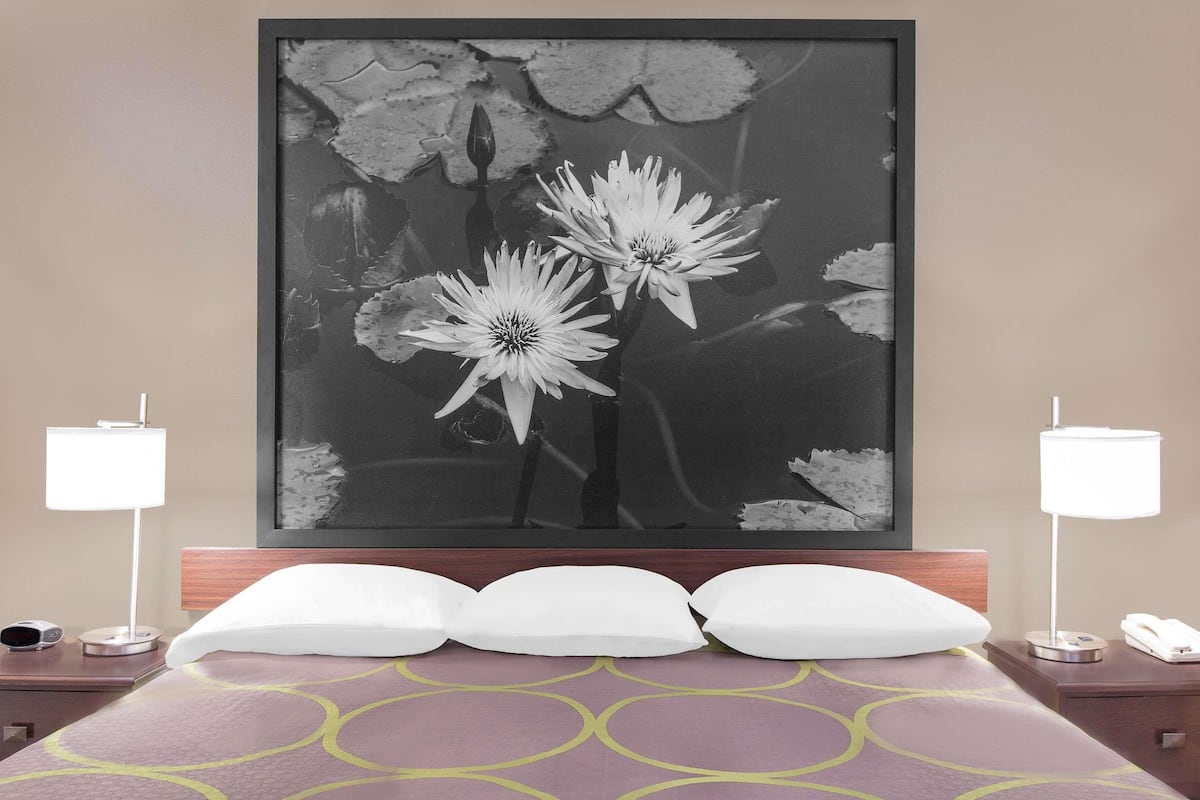 Une chambre d’hôtel avec un lit, des oreillers blancs, une œuvre d’art en noir et blanc encadrée représentant des fleurs, deux lampes de chevet et un téléphone sur la table de chevet.