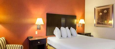 Habitación de hotel con una cama grande, dos mesitas de noche, una silla y un cuadro en la pared.