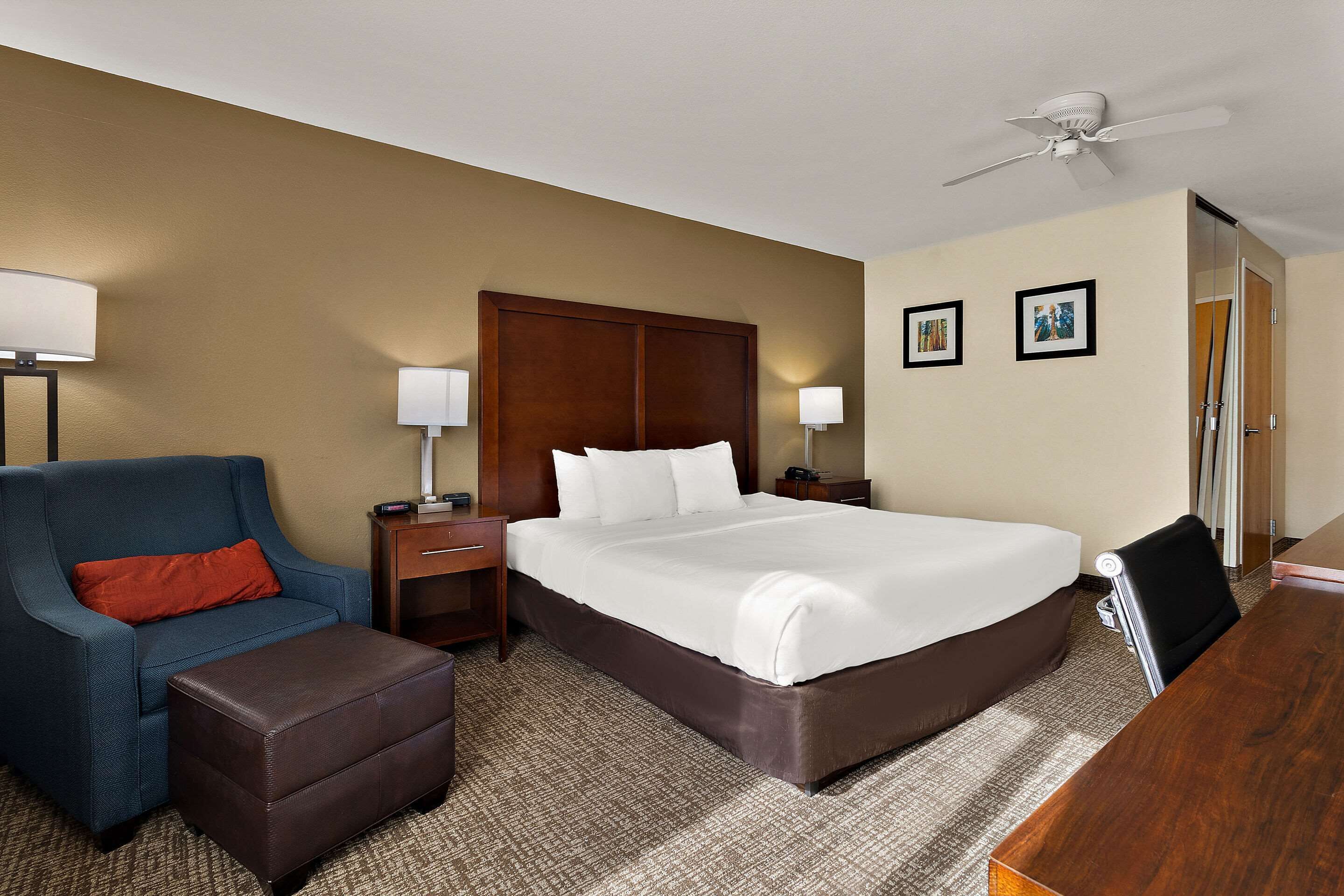 Room, 1 King Bed, Accessible, Non Smoking | Desk, blackout curtains, iron/ironing board, rollaway beds