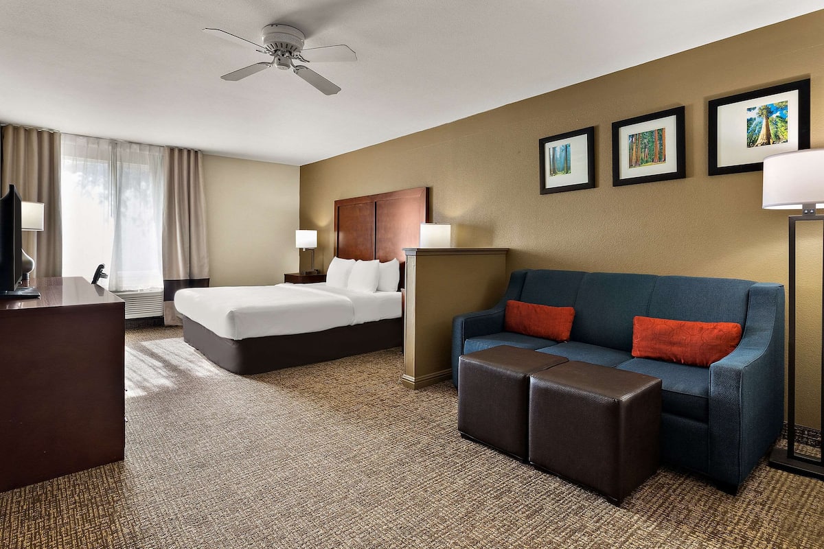 A hotel room with a bed, a blue sofa with red cushions, a desk, and a ceiling fan.