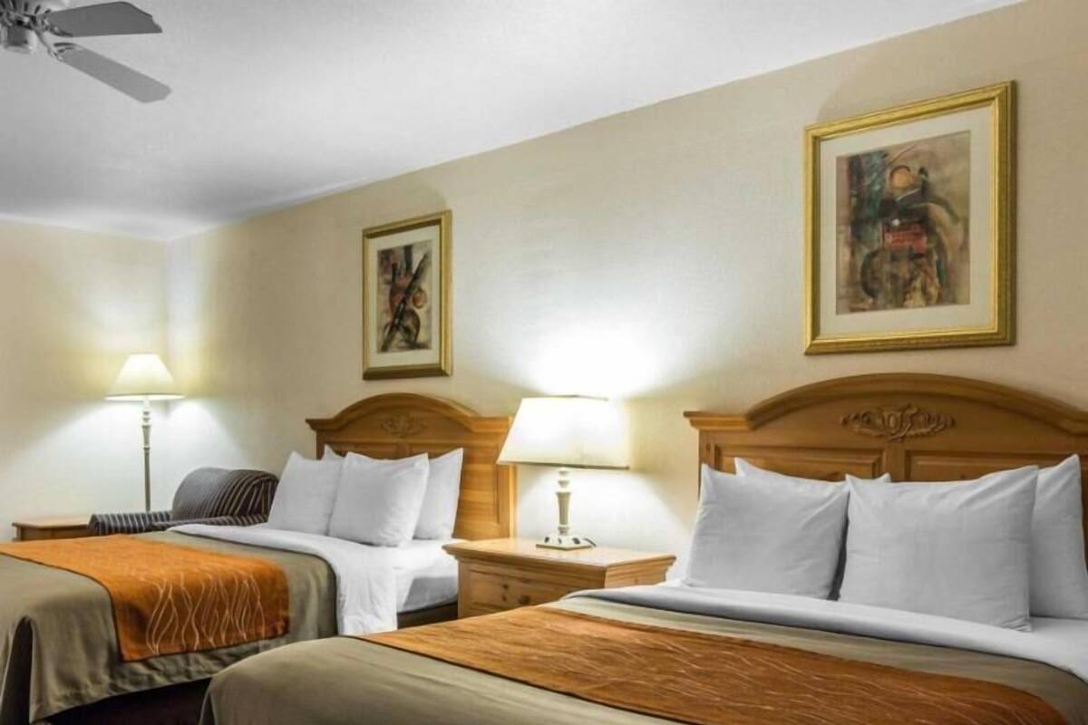 A hotel room with two beds, bedside lamps, a ceiling fan, and framed artwork on the walls.