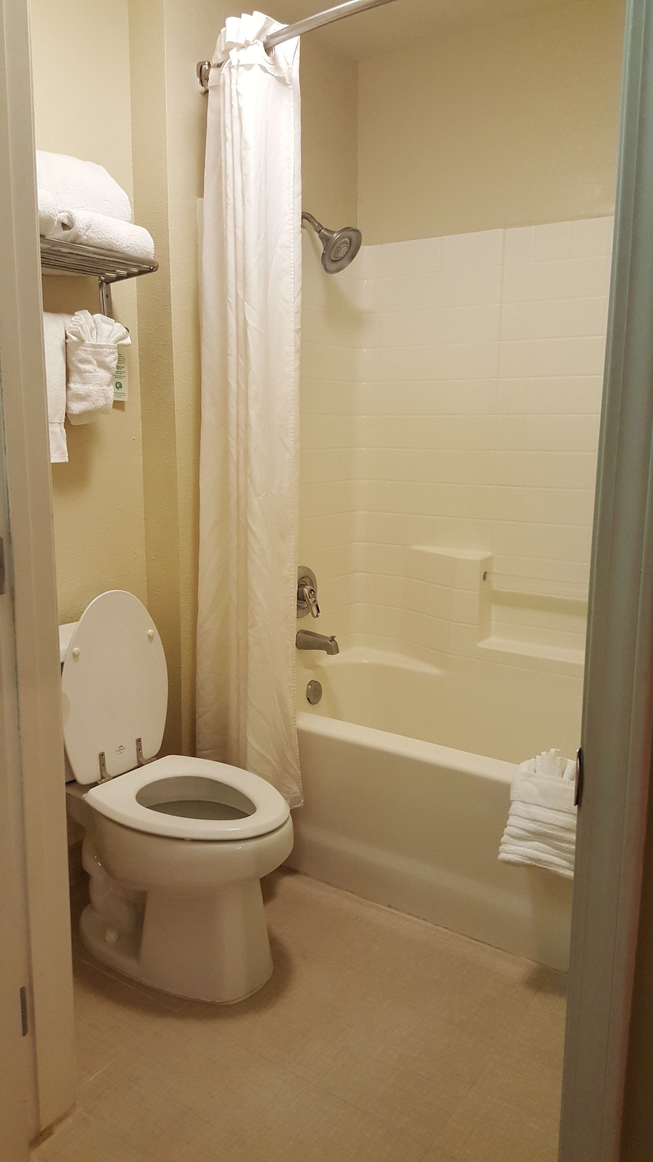 A bathroom with a toilet, a bathtub, and a shower curtain.