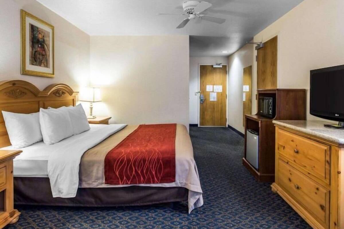 A hotel room with a bed, a television, a desk with a lamp, a ceiling fan, and a patterned carpet.