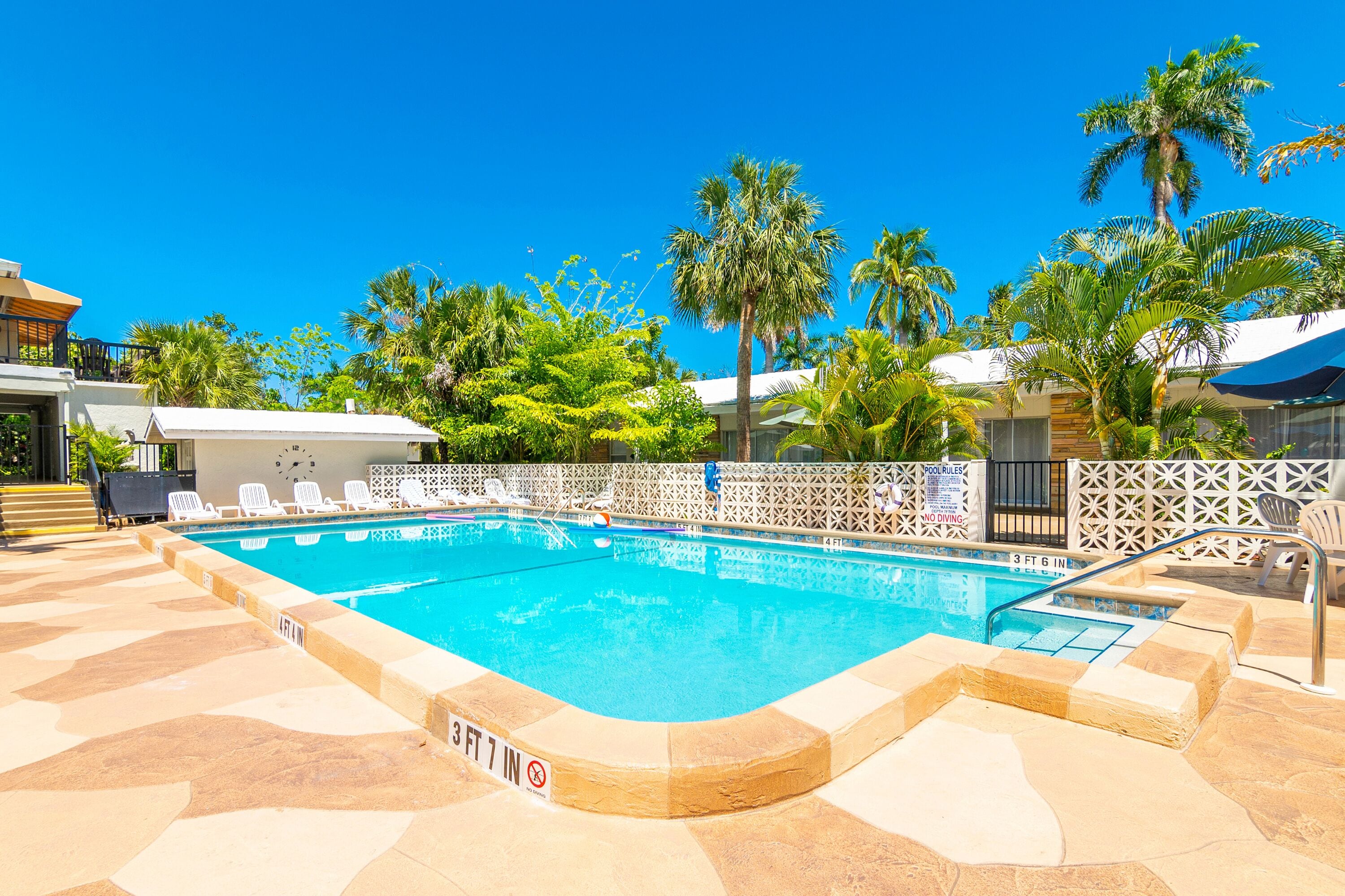 Une piscine d’une profondeur de 1,12 mètre, entourée de chaises longues et de palmiers.