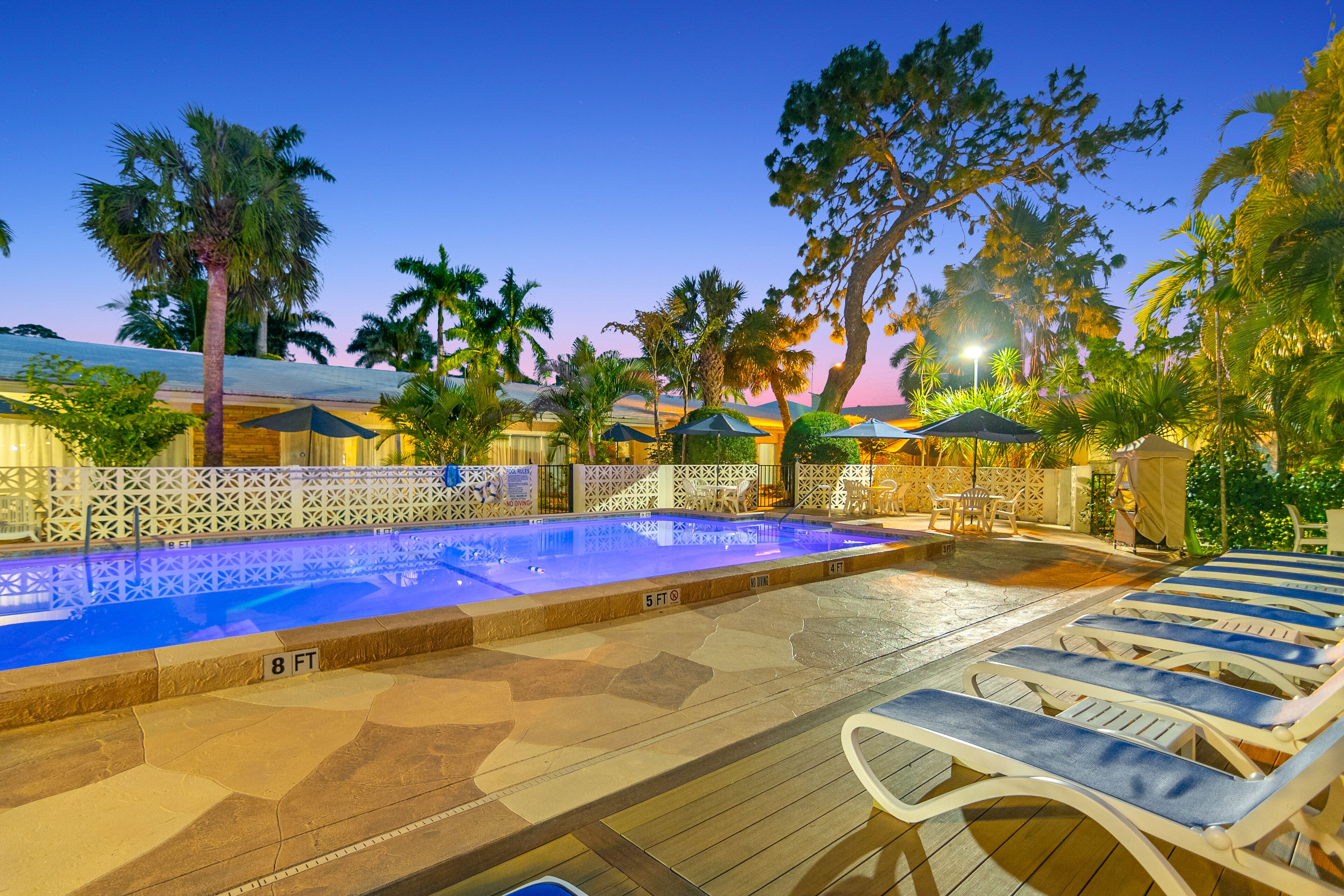 A pool area with lounge chairs, a pool with a blue tint, and surrounding palm trees.