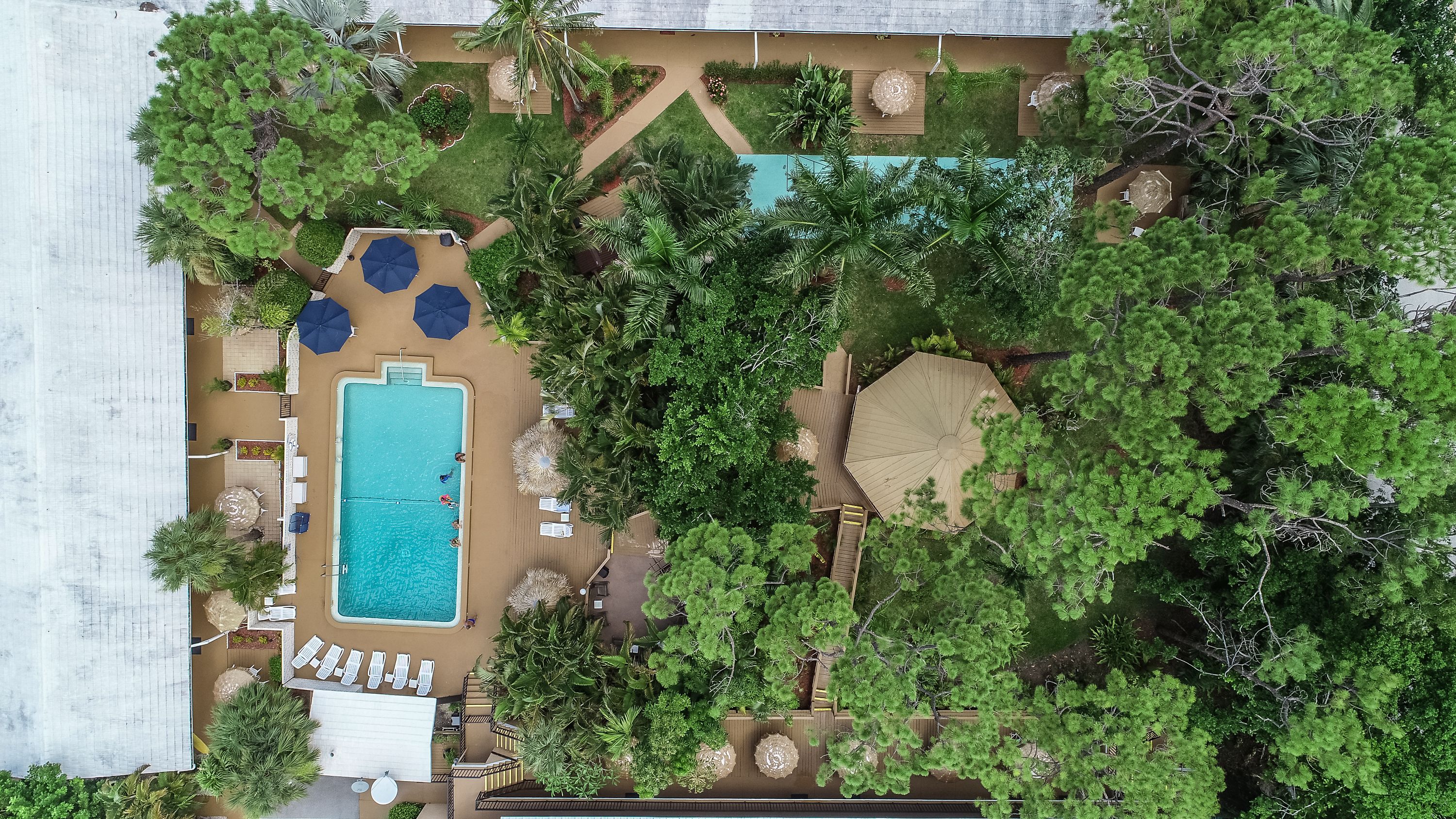 An aerial view of a resort with a swimming pool surrounded by lounge chairs and umbrellas, a wooden deck, and lush greenery.