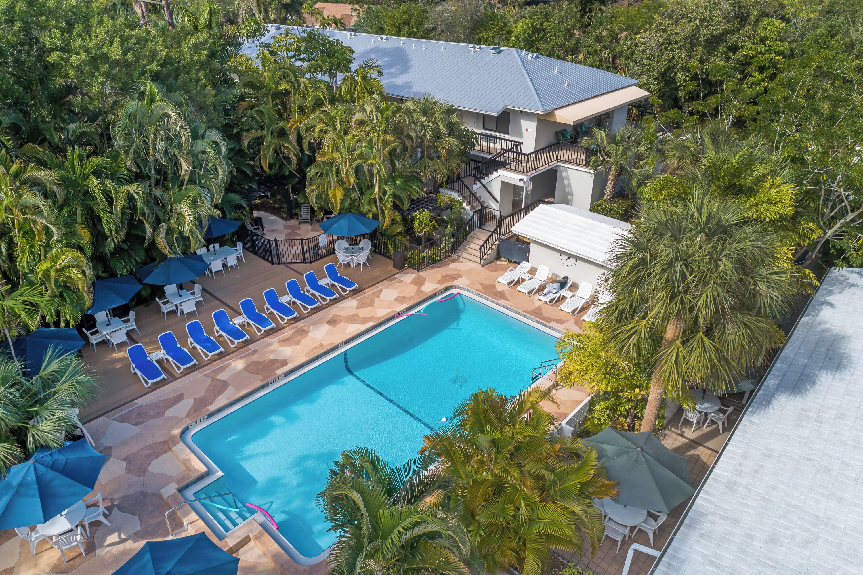 A pool area with lounge chairs and umbrellas, surrounded by palm trees and a building with a sloped roof.