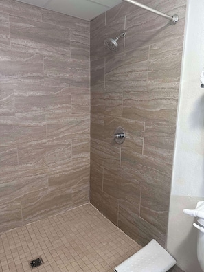 Chambre Standard, 1 très grand lit, non-fumeur (Walk-in Shower;with Sofabed) | Salle de bain