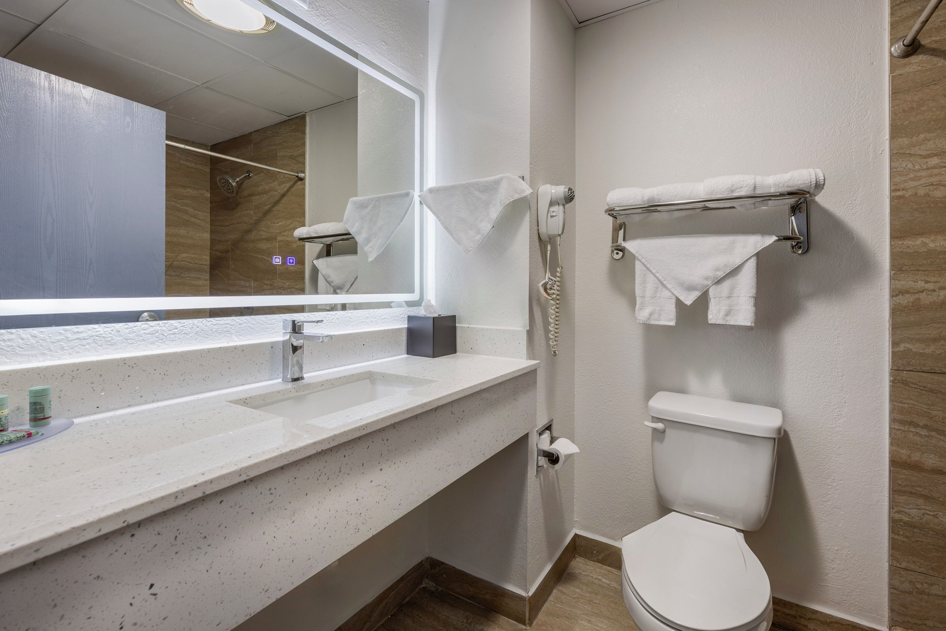 Standard Room, 1 King Bed, Non Smoking (Walk-in Shower;with Sofabed) | Bathroom