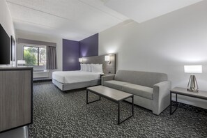 Desk, laptop workspace, iron/ironing board, free WiFi - Best Western Bolingbrook Hotel (Bolingbrook)