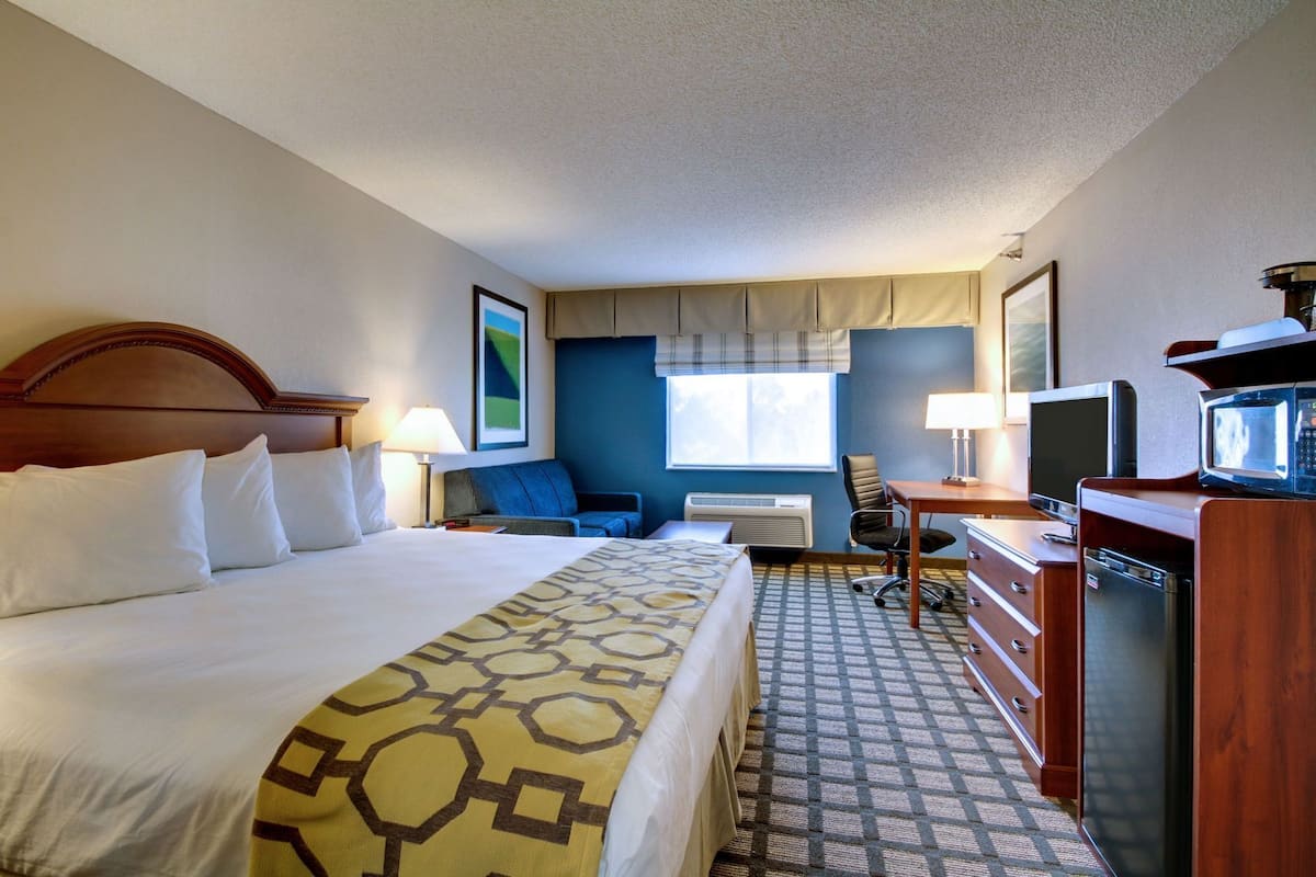 Une chambre d’hôtel équipée d’un lit, d’un bureau, d’une chaise, d’une télévision et d’un four à micro-ondes.