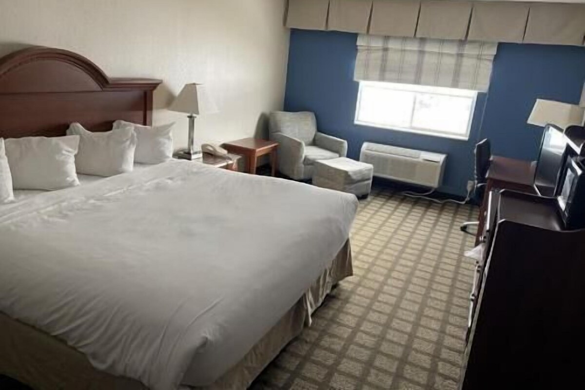 A hotel room with a large bed, a desk, a chair, a TV, and a window.