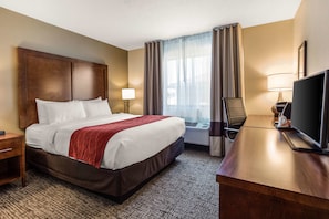 Standard Room, 1 Queen Bed, Non Smoking | Down comforters, desk, laptop workspace, blackout drapes