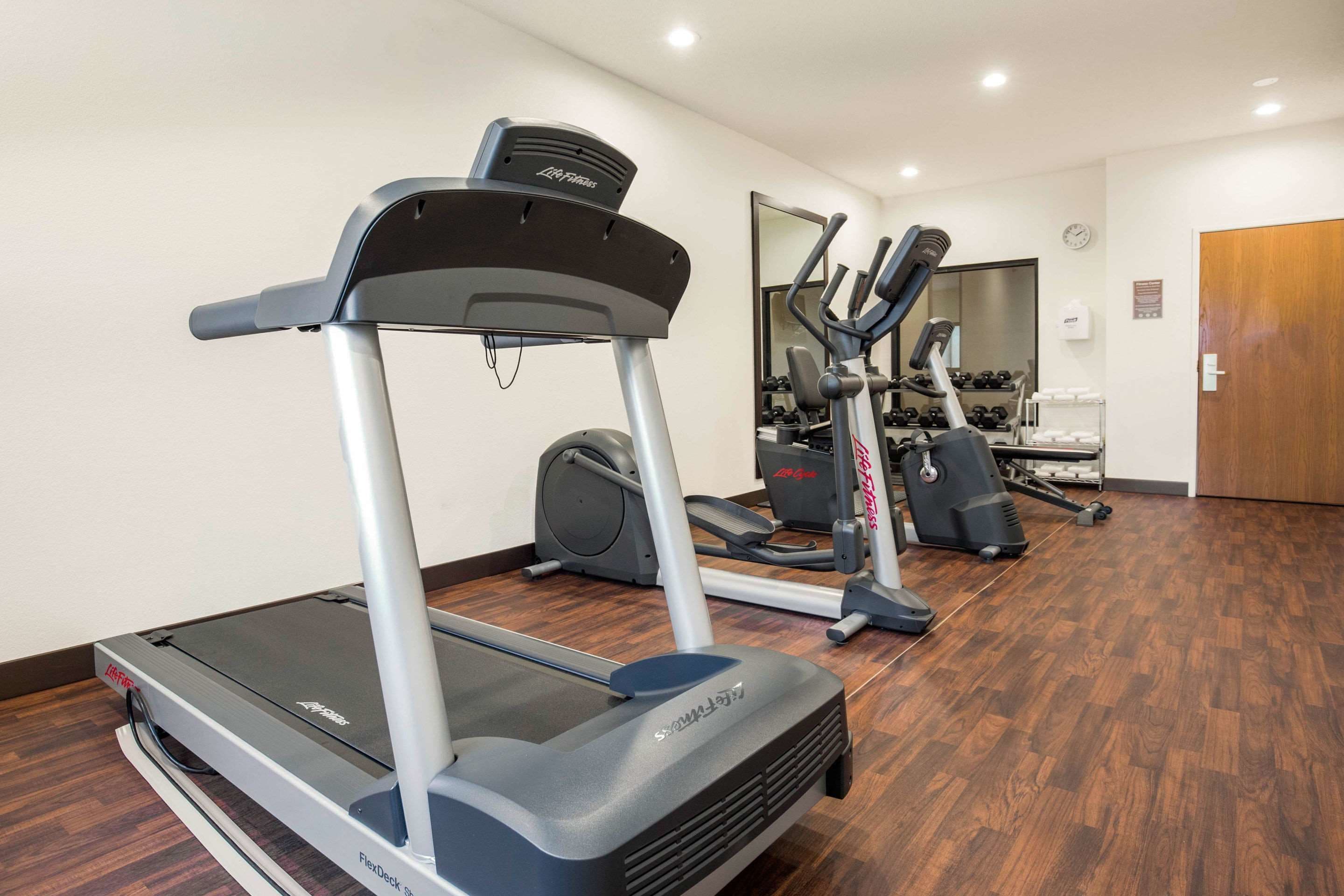 Ein Fitnessstudio mit Laufbändern, Crosstrainern und Gewichtsmaschinen.