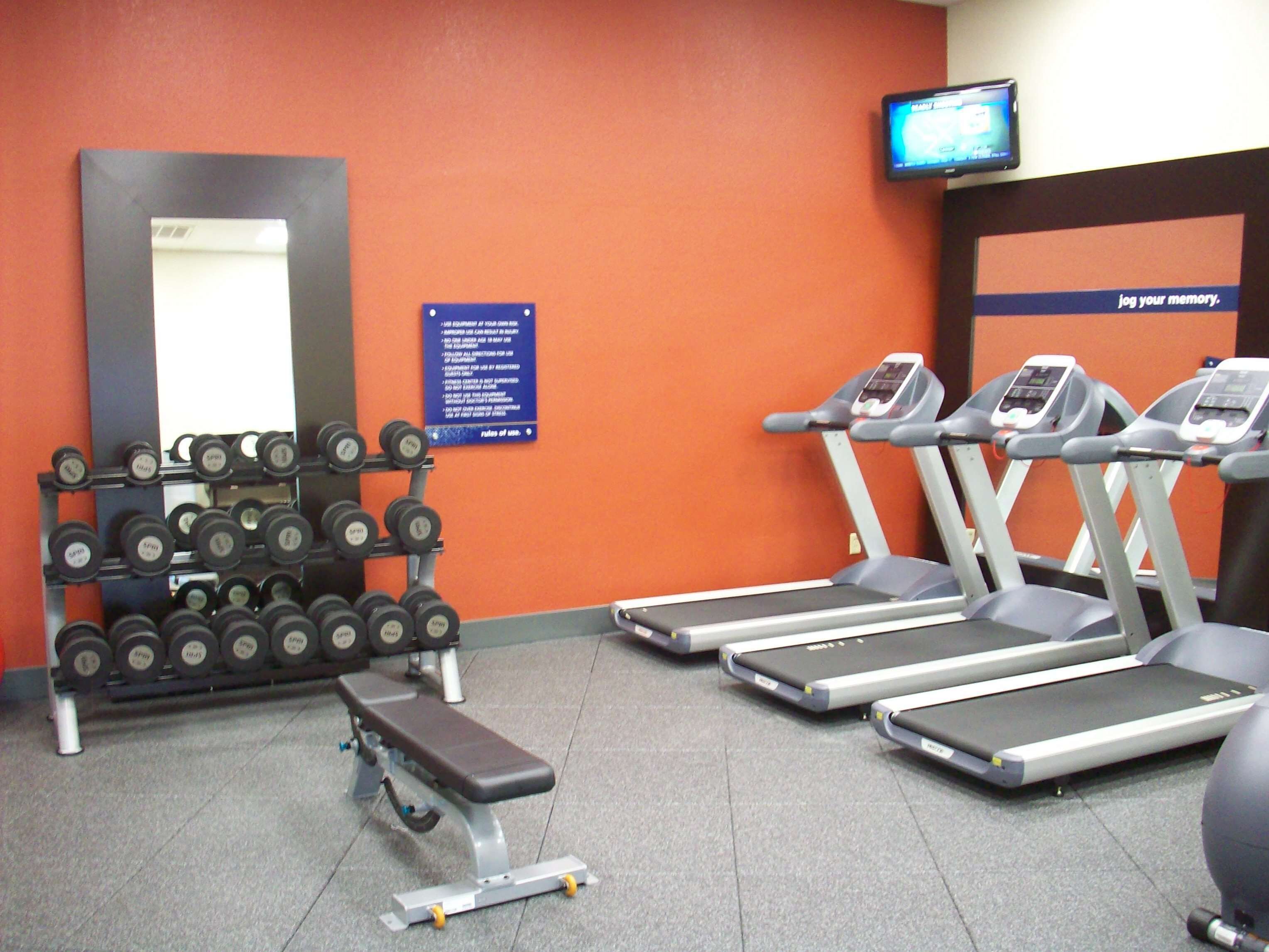 Un gimnasio con cintas de correr, mancuernas y un banco.