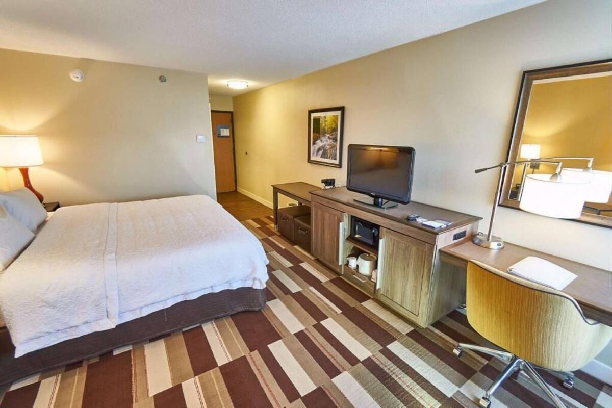 Una habitación de hotel con una cama, un escritorio con computadora, televisor, espejo y alfombra estampada.
