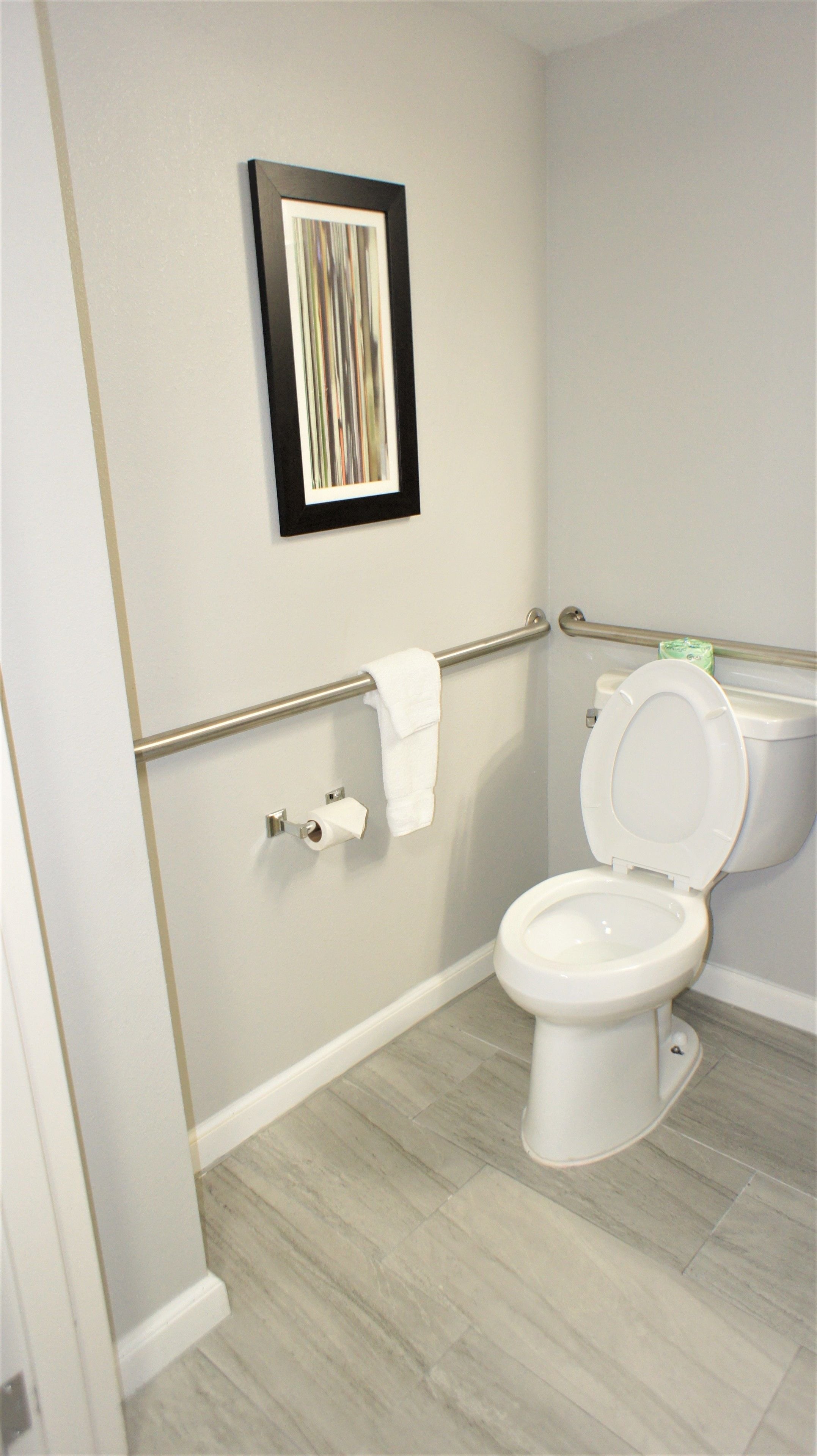 A bathroom with a toilet, a handrail, a roll of toilet paper, and a framed picture on the wall.