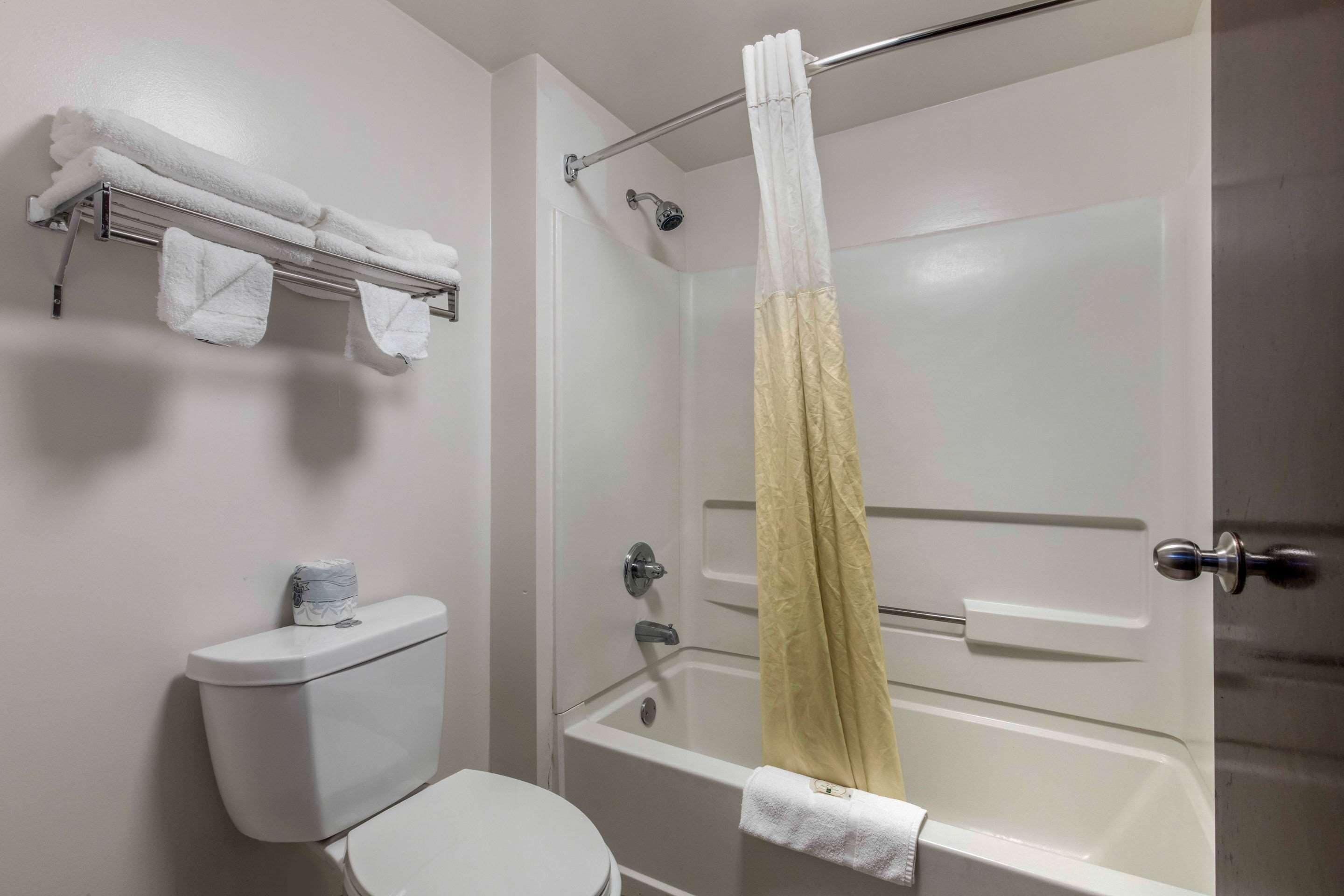 A bathroom with a toilet, a bathtub, and a shower curtain.