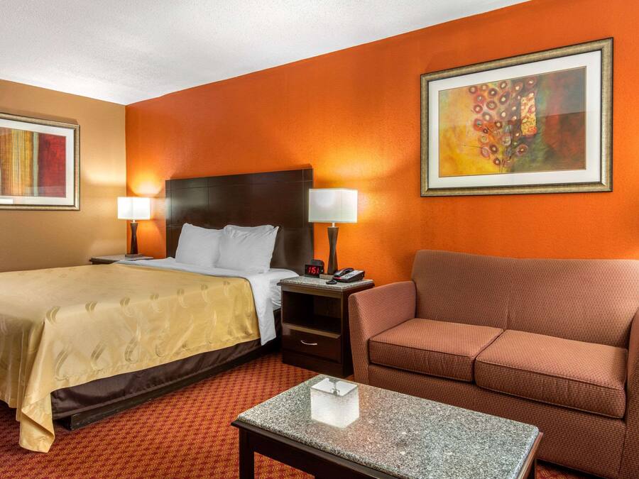 A hotel room with a bed, a sofa, a nightstand with a lamp, and a framed picture on the wall.