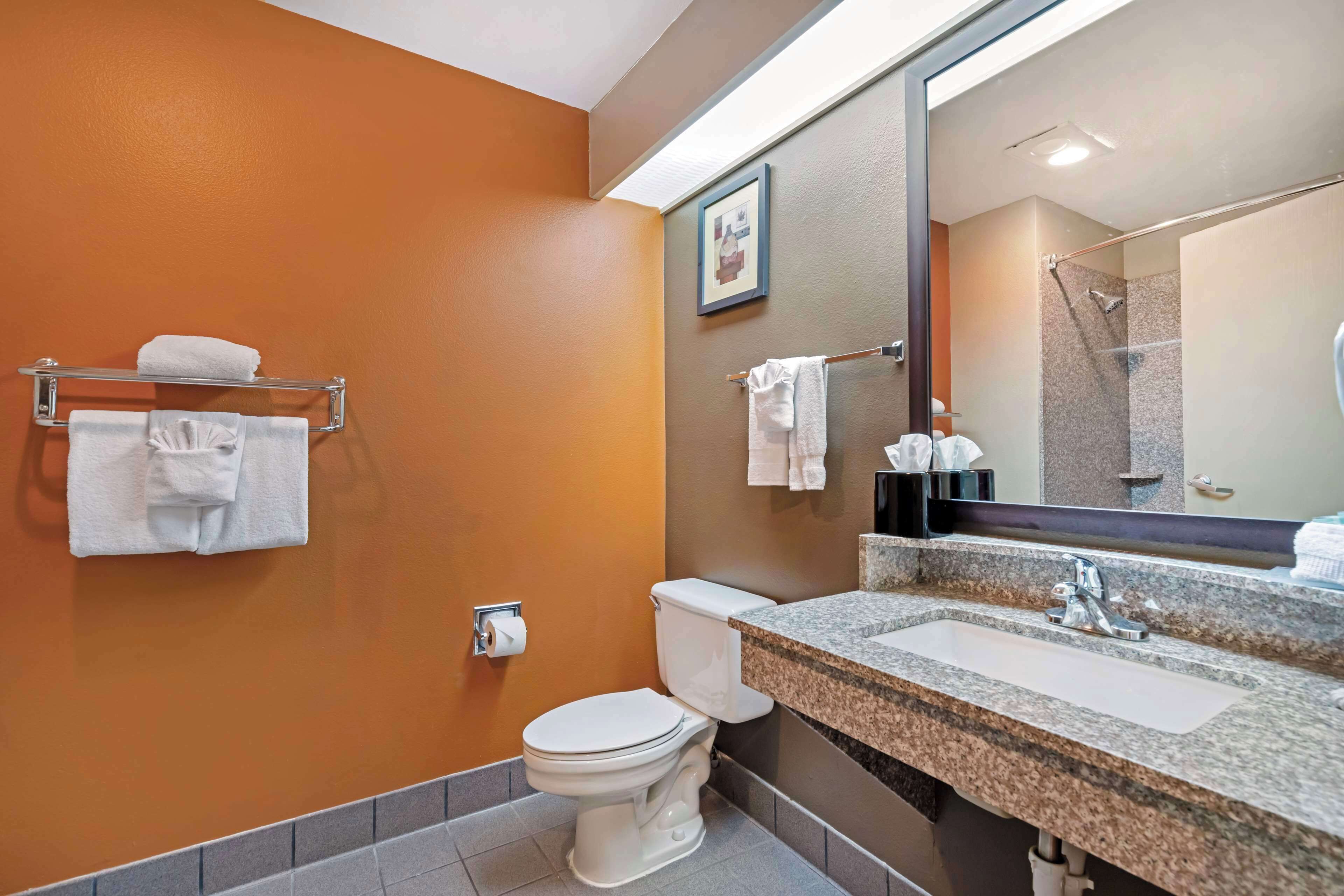 Combined shower/tub, free toiletries, hair dryer, towels